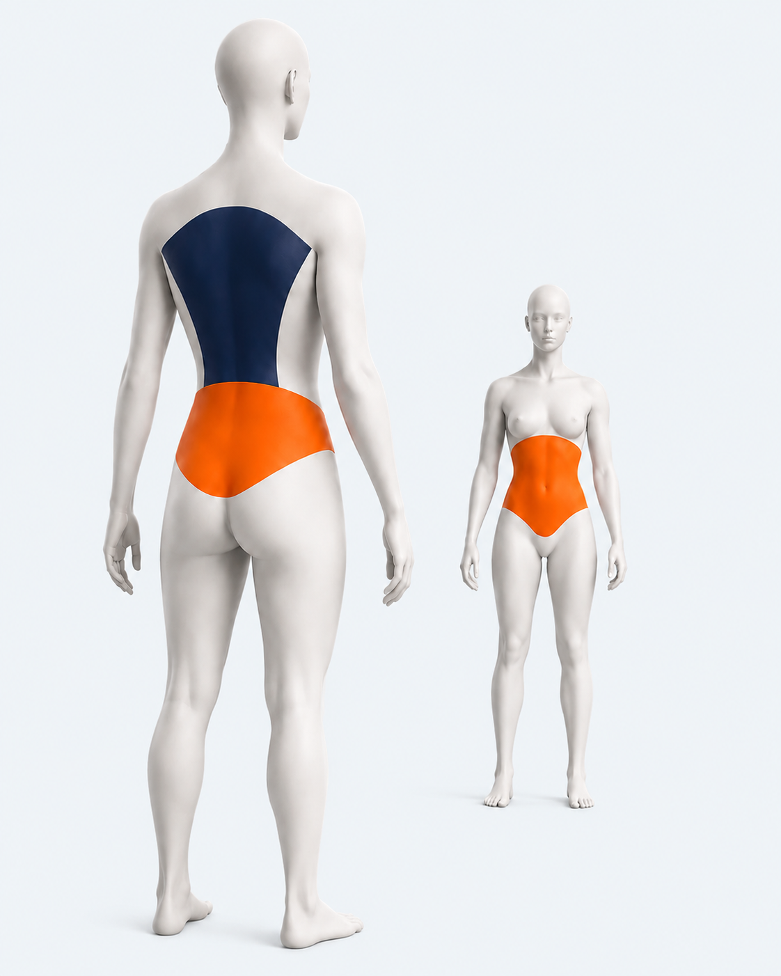 Rear view highlighting the back and core regions with a smaller front view highlighting the core