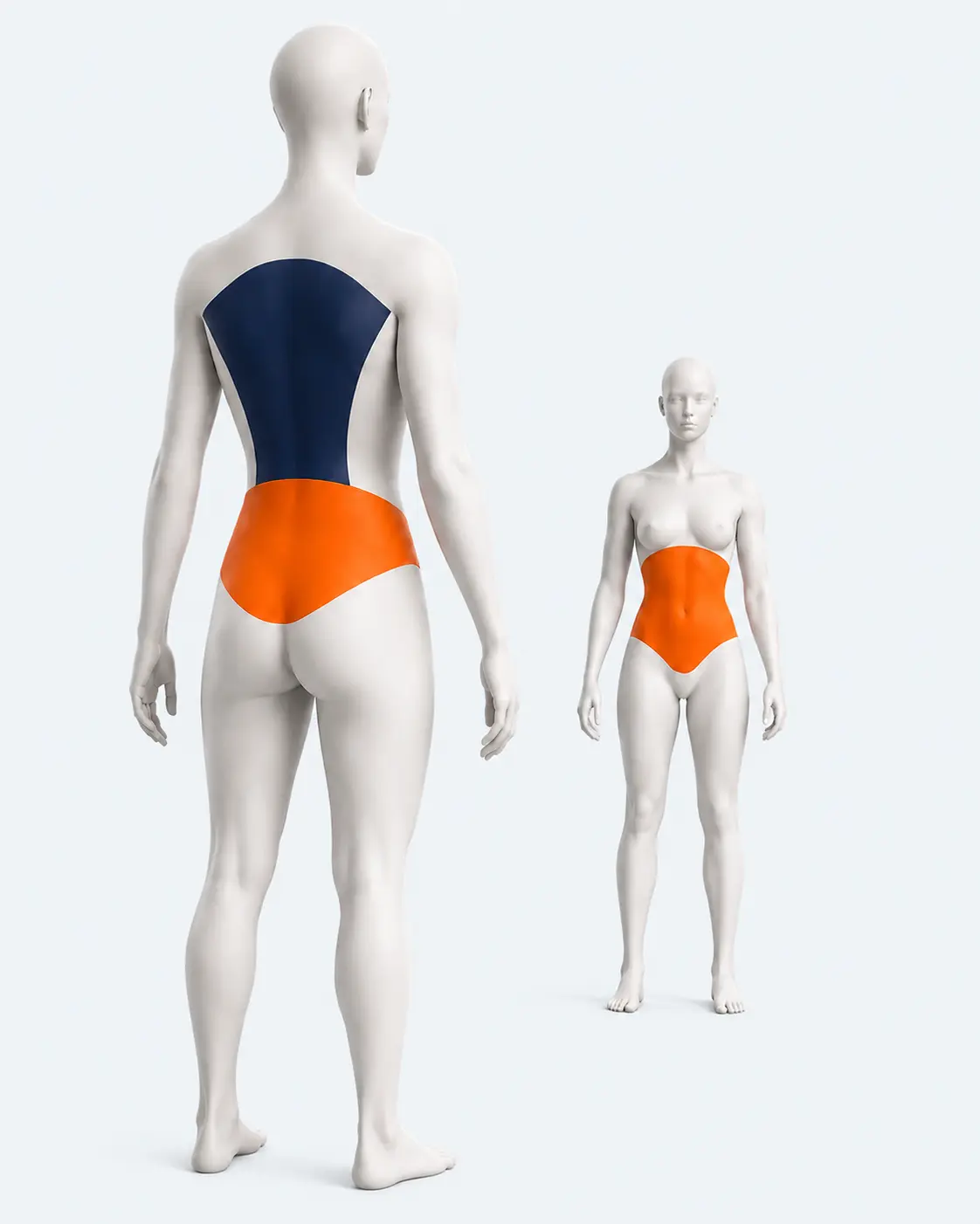 Rear view highlighting the back and core regions with a smaller front view highlighting the core
