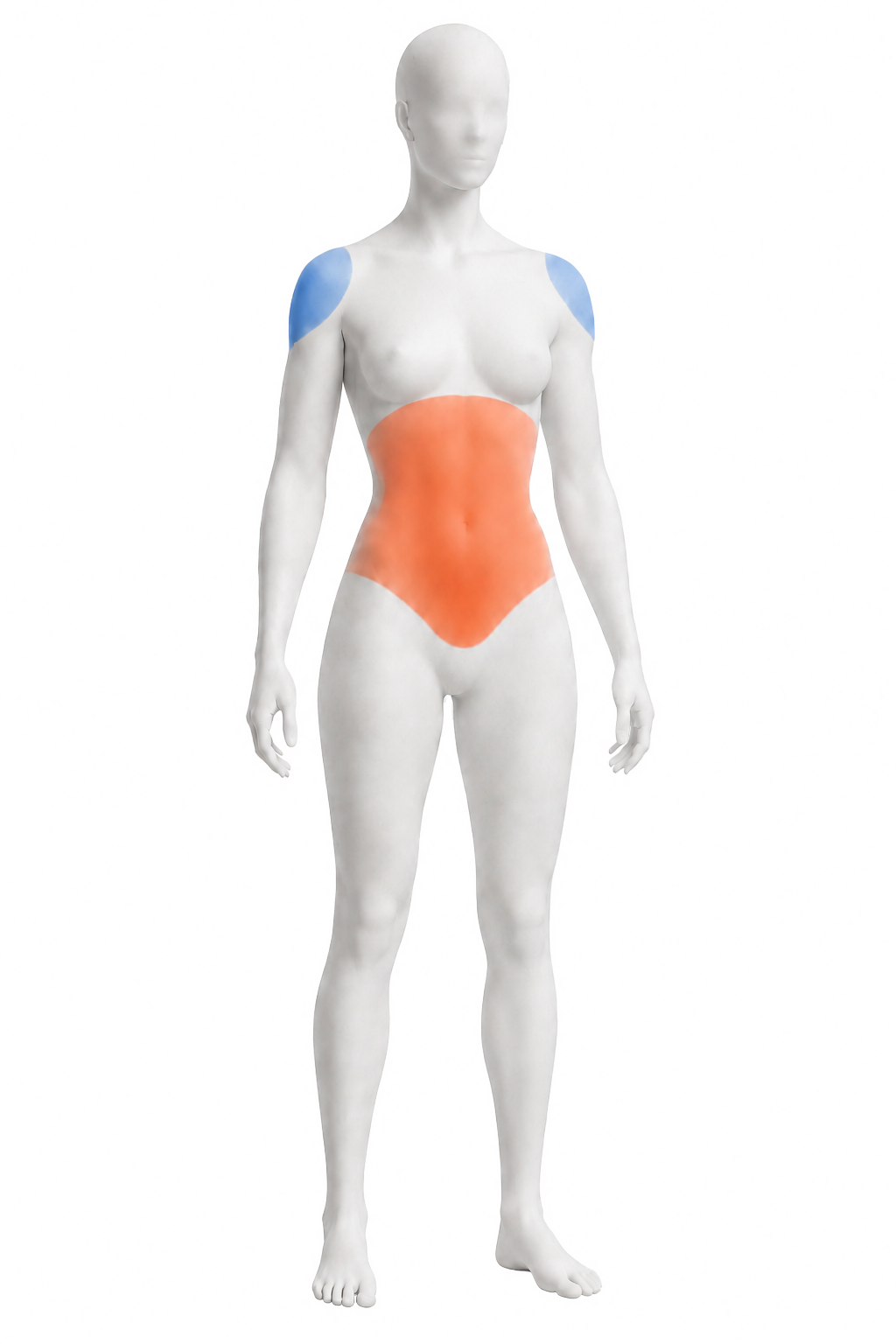 Neutral front figure showing the shoulder and anterior core emphasis areas