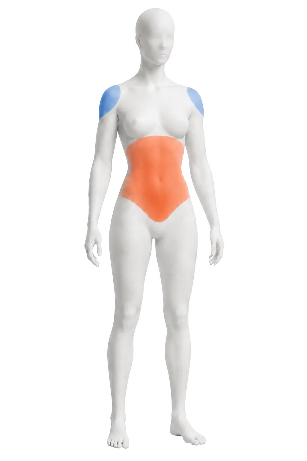 Neutral front figure showing the shoulder and anterior core emphasis areas