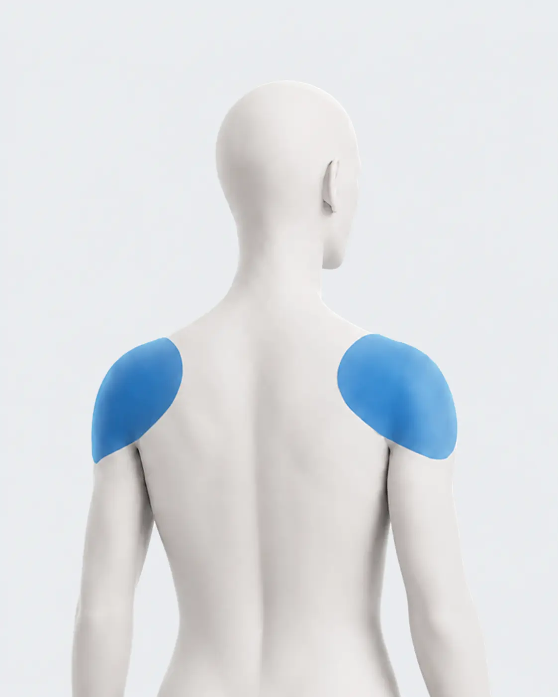 Rear view highlighting the shoulder regions